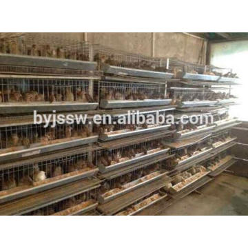 Trade Assurance 5 Tier or 6 Tier H Quail Type Cage for Sale